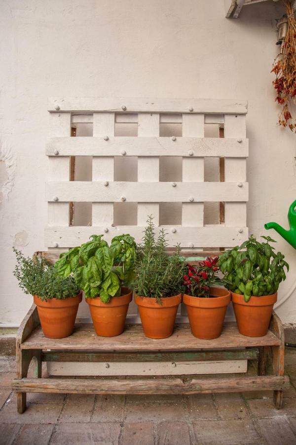 Borgo Vergini Garden B&B Napoli Bagian luar foto
